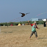 Penvins-festival -2006 -0064